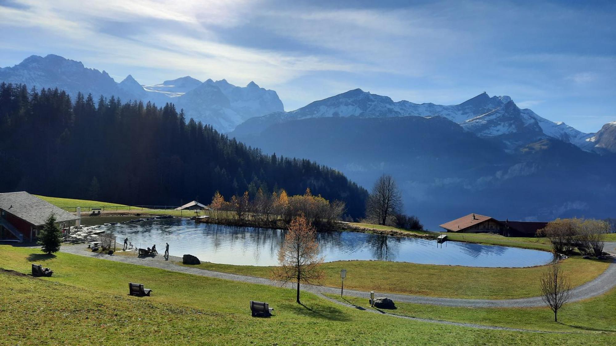 Chalet Blatti Hasliberg Pokoj fotografie